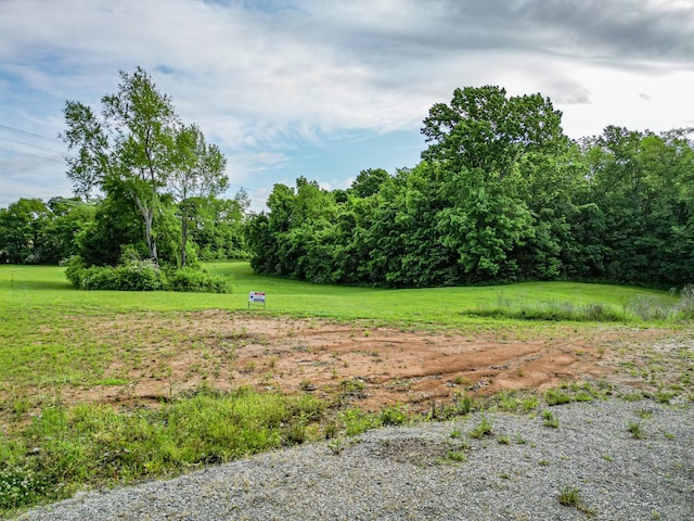 3189B Greens Mill Rd, Spring Hill, TN 37174 - photo 14