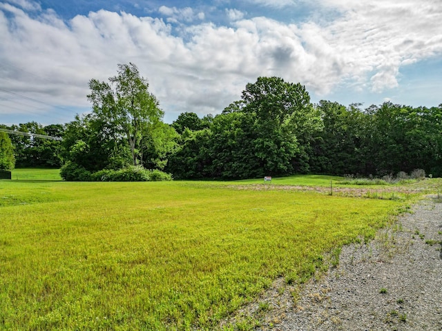 3189B Greens Mill Rd, Spring Hill, TN 37174 - photo 17