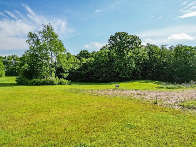 3189B Greens Mill Rd, Spring Hill, TN 37174 - photo 4