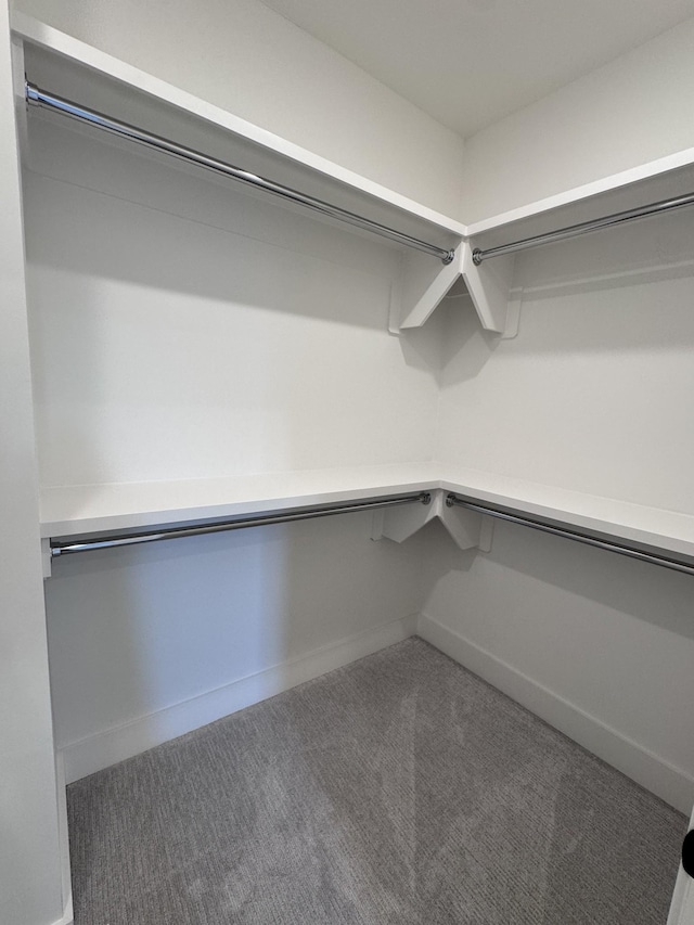 spacious closet with carpet floors