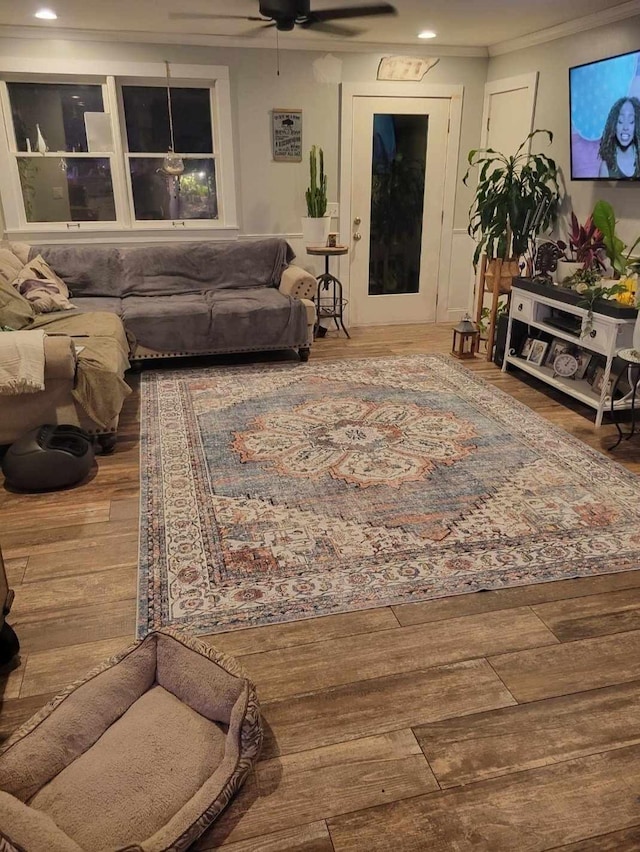 living room featuring ceiling fan and hardwood / wood-style flooring