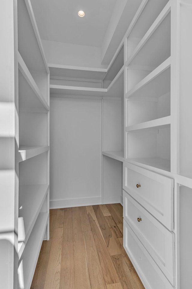 spacious closet featuring wood finished floors