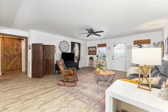 living room featuring ceiling fan, a barn door, light hardwood / wood-style floors, and ornamental molding