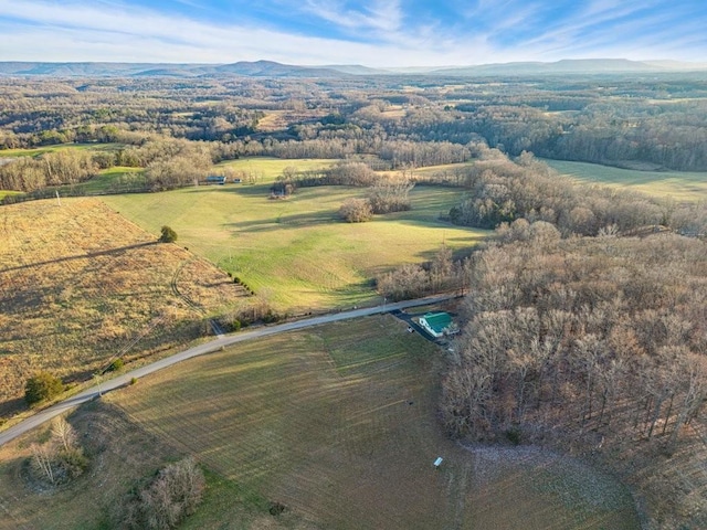 birds eye view of property featuring a mountain view