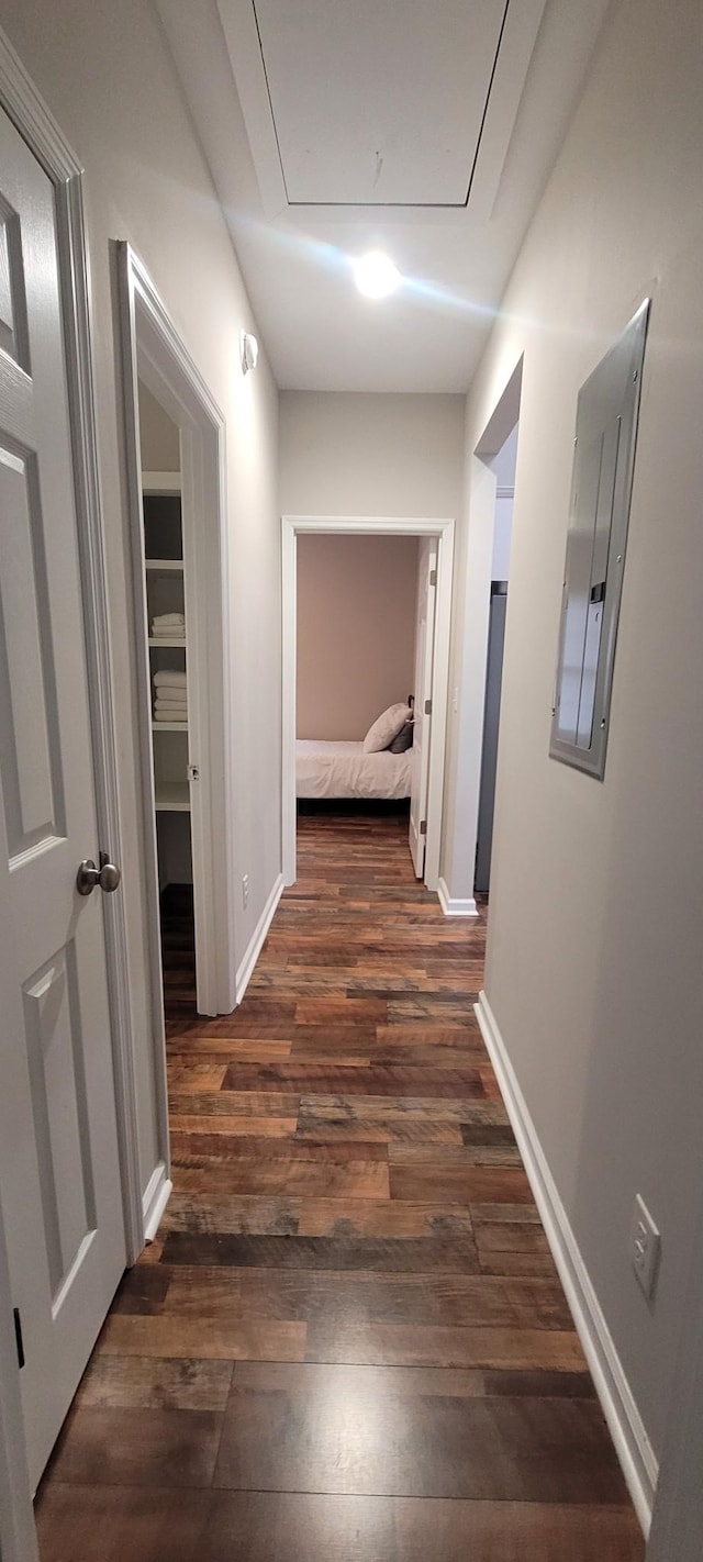 hall with dark hardwood / wood-style flooring and electric panel