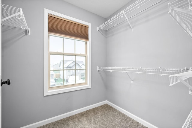 walk in closet with carpet