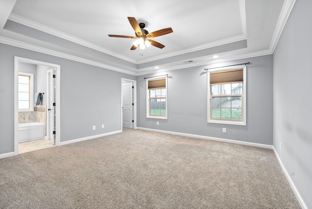 unfurnished room with ceiling fan, a raised ceiling, ornamental molding, and carpet floors