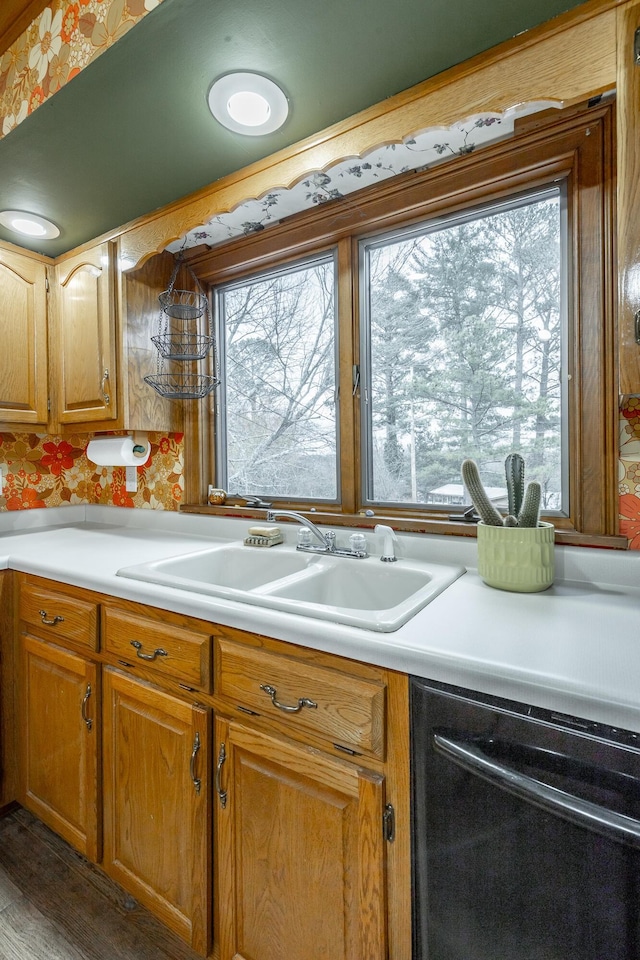 kitchen featuring dishwasher, hardwood / wood-style floors, and sink