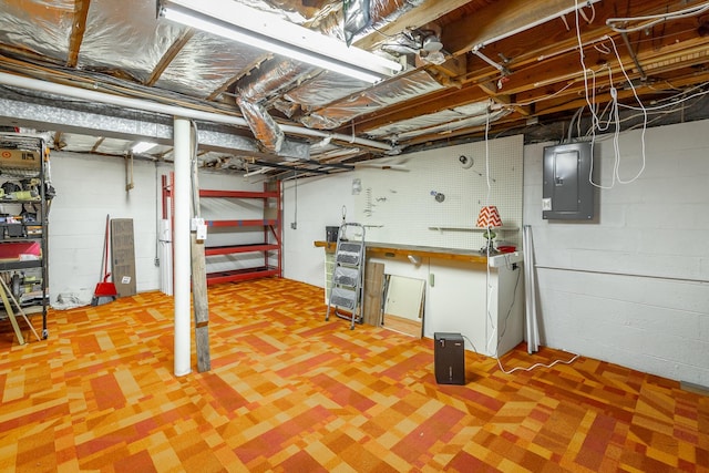 basement with electric panel