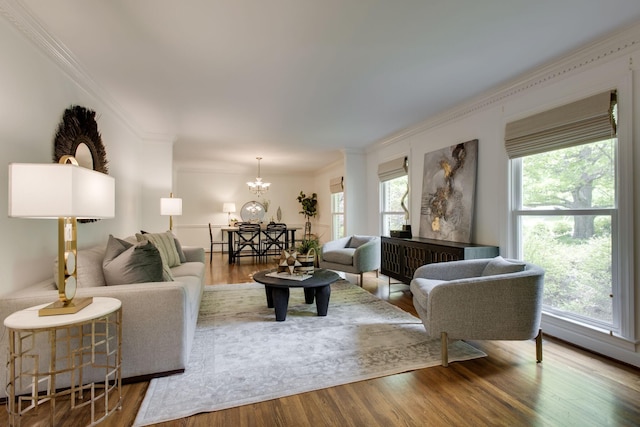 living room with wood-type flooring, crown molding, and an inviting chandelier