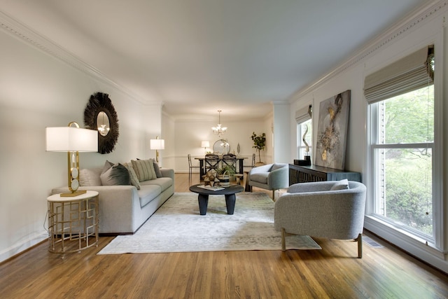 living room with a chandelier, hardwood / wood-style flooring, and ornamental molding