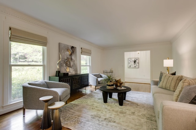 living room with wood-type flooring and crown molding