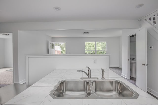 kitchen featuring light carpet and sink