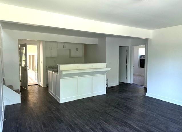 kitchen with dark wood-type flooring