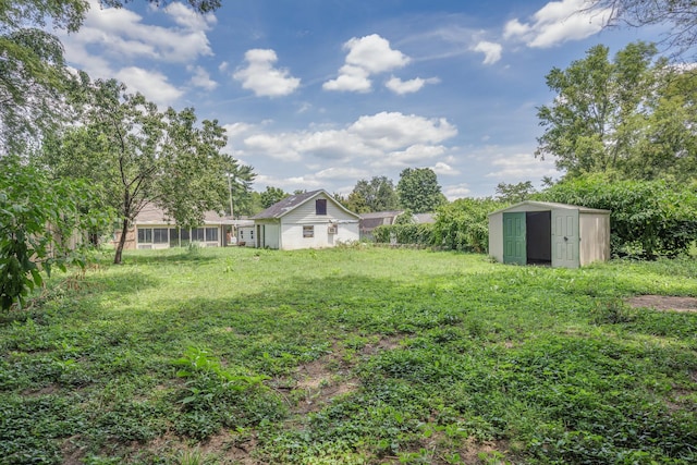 view of yard with a shed