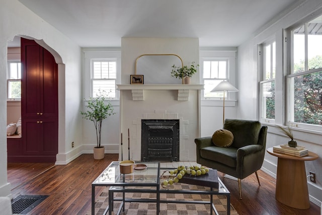 living room featuring dark hardwood / wood-style floors and plenty of natural light