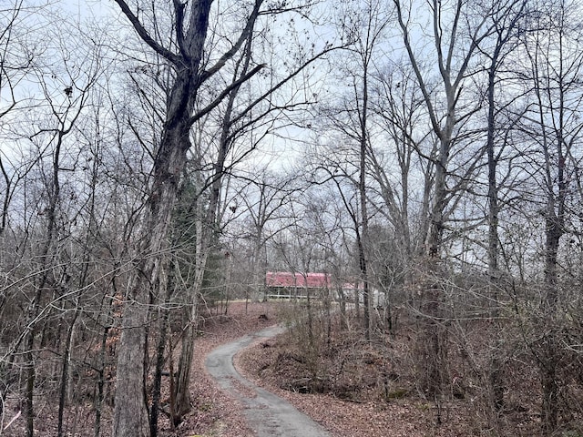 view of road