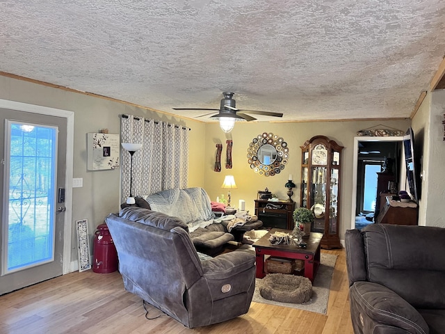 living room with ceiling fan, crown molding, a textured ceiling, and light wood-type flooring