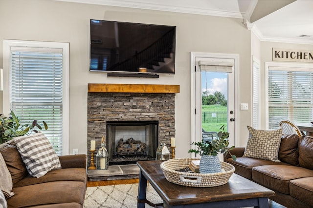 living room with crown molding, a fireplace, and wood-type flooring