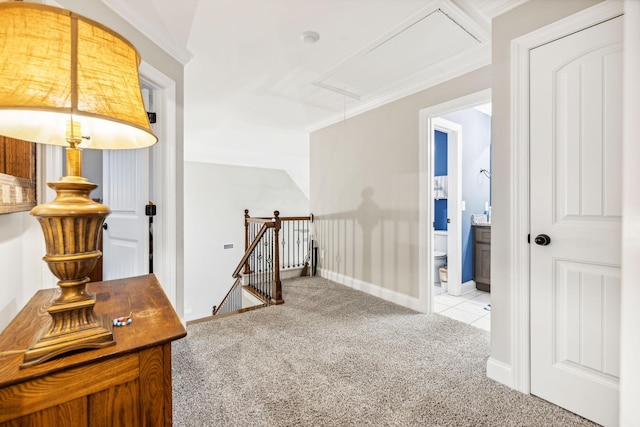 hall featuring light colored carpet and ornamental molding