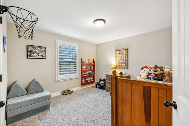 sitting room featuring carpet