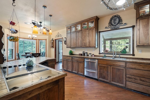 kitchen with dark hardwood / wood-style flooring, ceiling fan with notable chandelier, sink, stovetop, and hanging light fixtures