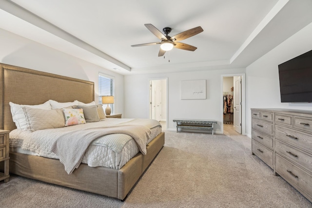 carpeted bedroom featuring ceiling fan, a raised ceiling, a walk in closet, and a closet