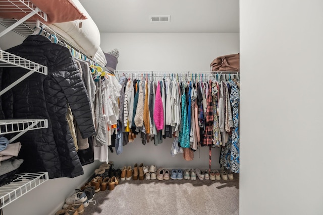 spacious closet with carpet floors