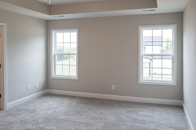 carpeted spare room featuring a tray ceiling and a healthy amount of sunlight