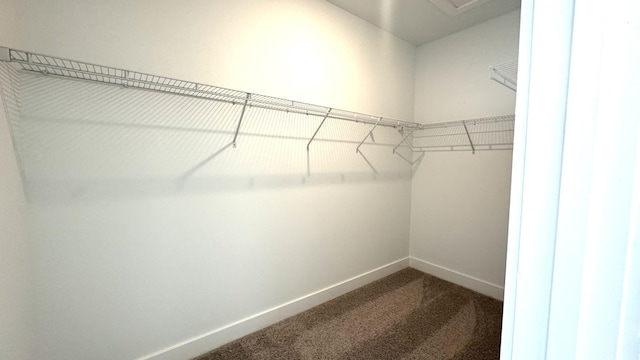 walk in closet with carpet flooring