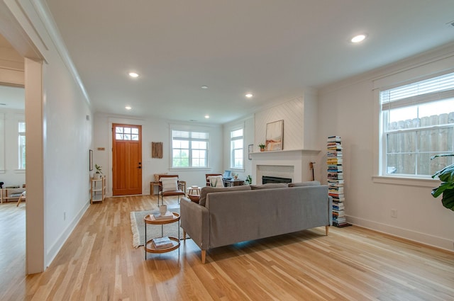 living room featuring a large fireplace, light hardwood / wood-style flooring, and ornamental molding