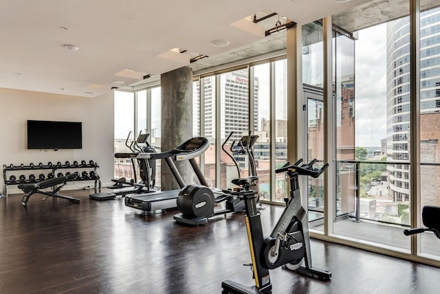 exercise room with a wealth of natural light, expansive windows, and hardwood / wood-style flooring