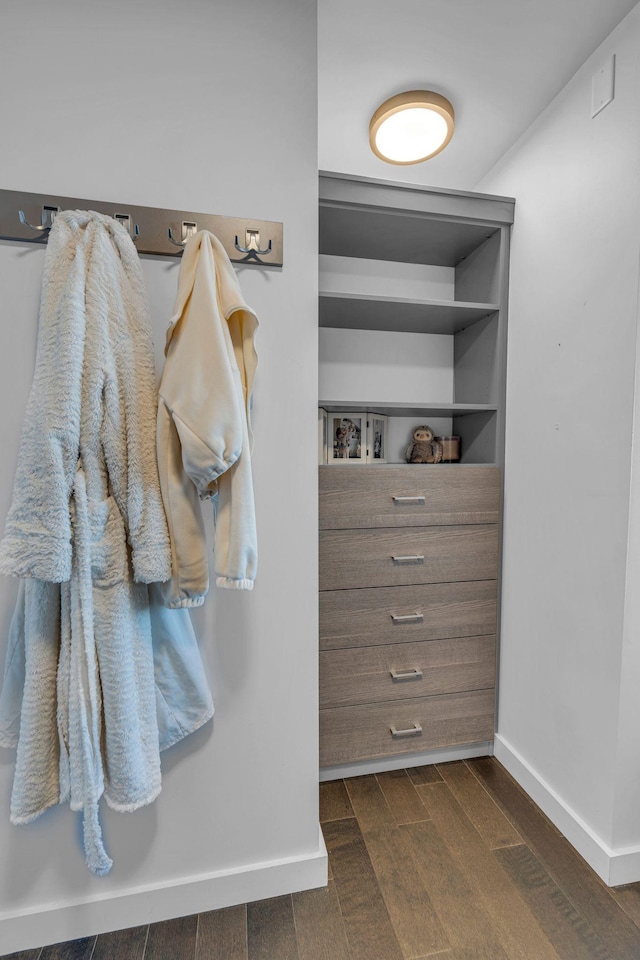 mudroom with dark hardwood / wood-style flooring