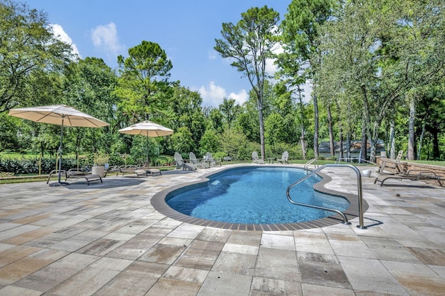 view of swimming pool featuring a patio area