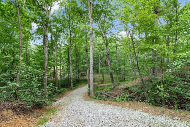 Listing photo 2 for 0 Billy Wynn Rd, Dickson TN 37055