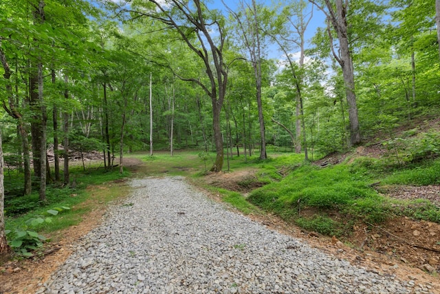 Listing photo 3 for 0 Billy Wynn Rd, Dickson TN 37055