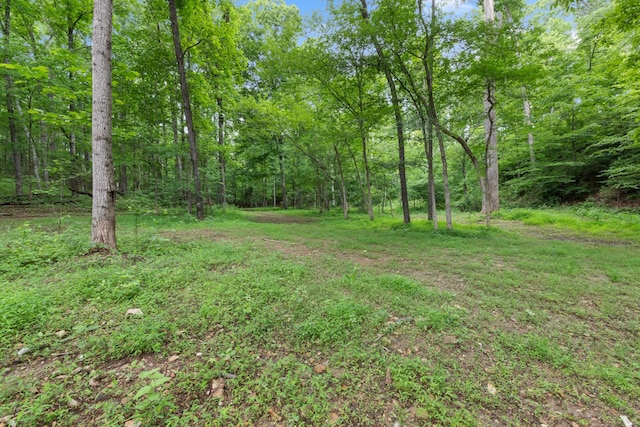 0 Billy Wynn Rd, Dickson TN, 37055 land for sale