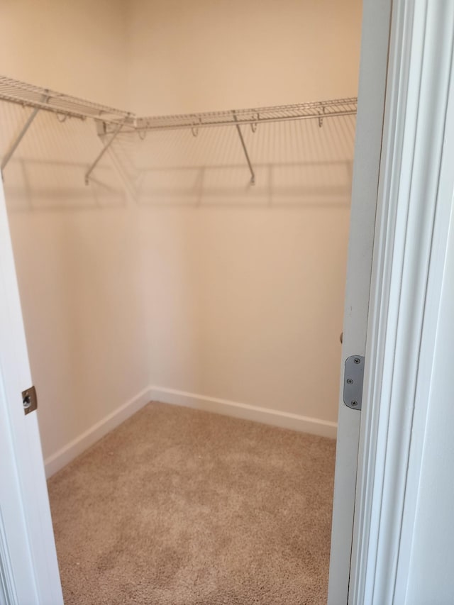 spacious closet with carpet