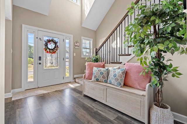 entrance foyer featuring dark wood-type flooring