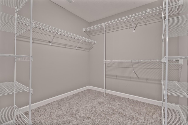 walk in closet with carpet floors