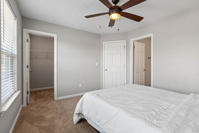 bedroom with light carpet, ceiling fan, a spacious closet, multiple windows, and a closet