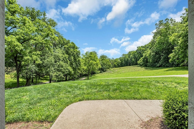 view of property's community with a lawn