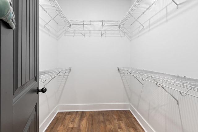 walk in closet featuring dark hardwood / wood-style floors