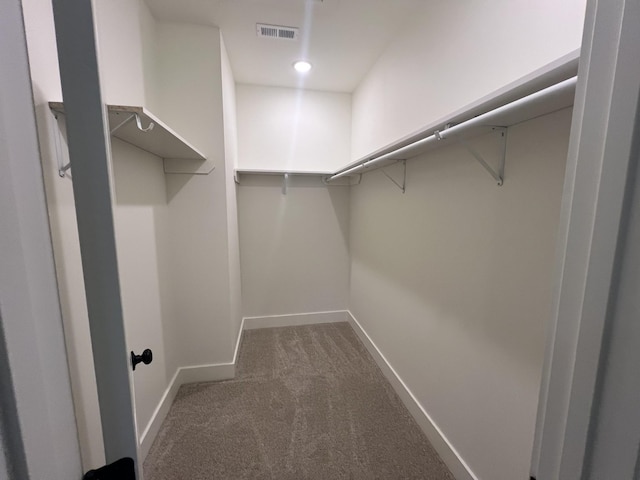 spacious closet with carpet