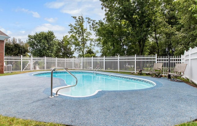 view of pool featuring a patio area