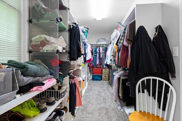 walk in closet featuring light colored carpet