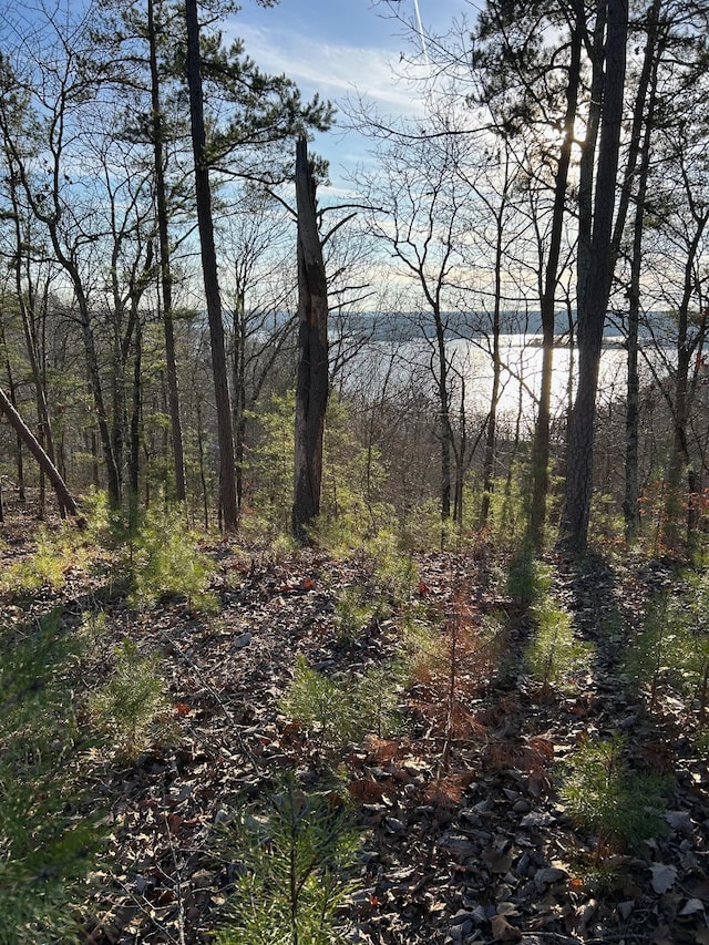 0 Crest Ct, Waverly, TN 37185 - photo 34