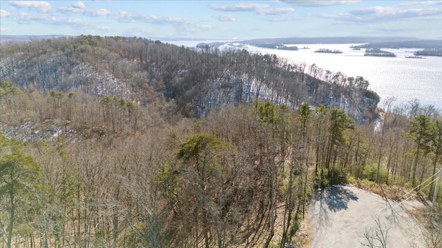 0 Crest Ct, Waverly, TN 37185 - photo 8