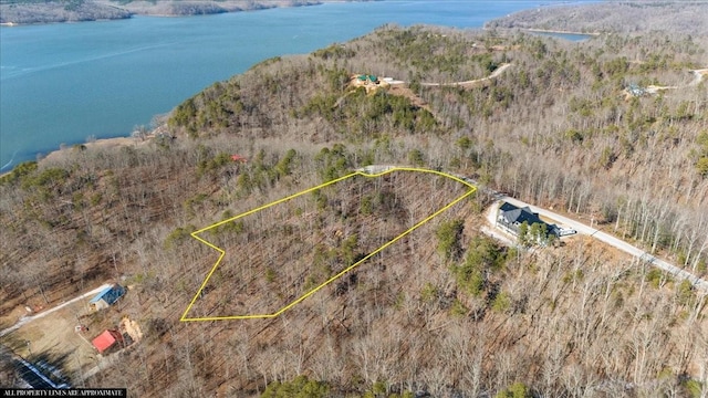 0 Crest Ct, Waverly, TN 37185 - photo 4