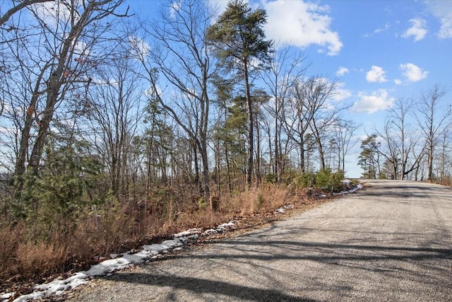 0 Crest Ct, Waverly, TN 37185 - photo 32